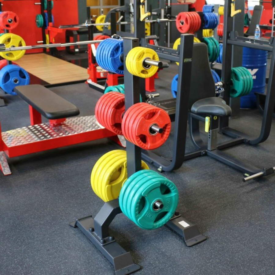 PROFI-FIT 3 HANDLE Диск обрезиненный цветной D-51, 25 кг  