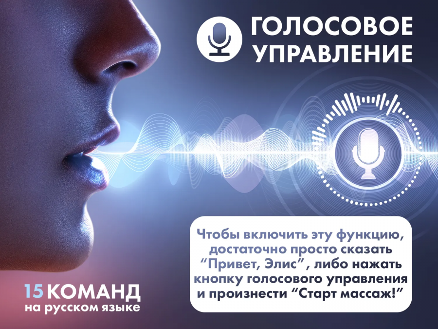 FUJIMO F500 FLEXOR Business Edition Массажное кресло коричневый  