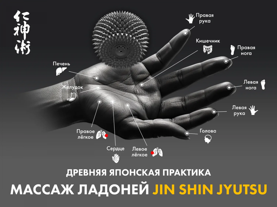 FUJIMO FLEXOR F500 Business Edition Массажное кресло Серый  