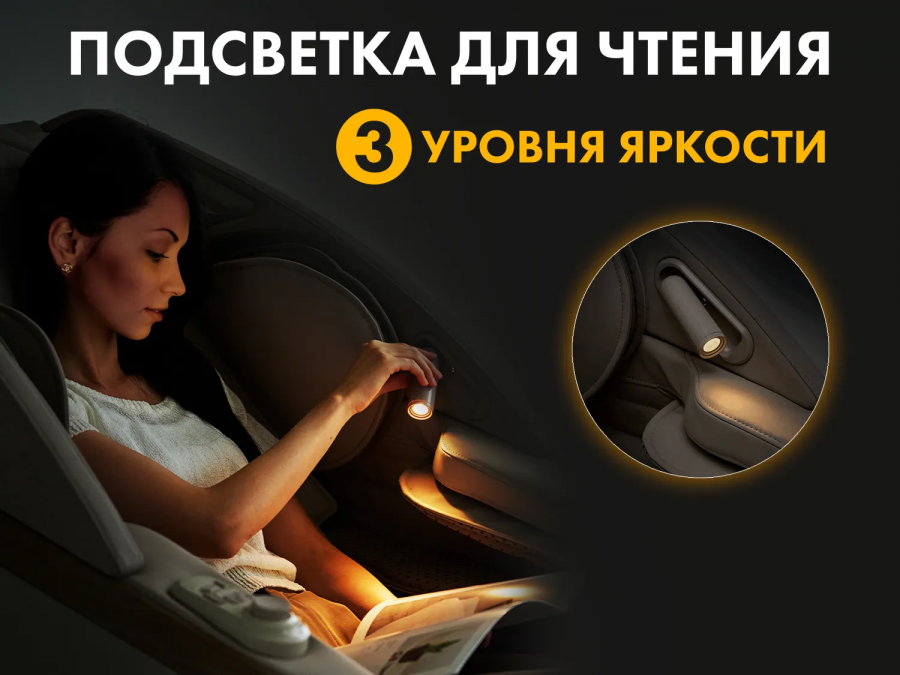 FUJIMO F500 FLEXOR Business Edition Массажное кресло коричневый  